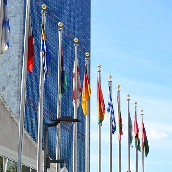 A variety of national flags flying in front of a tall building