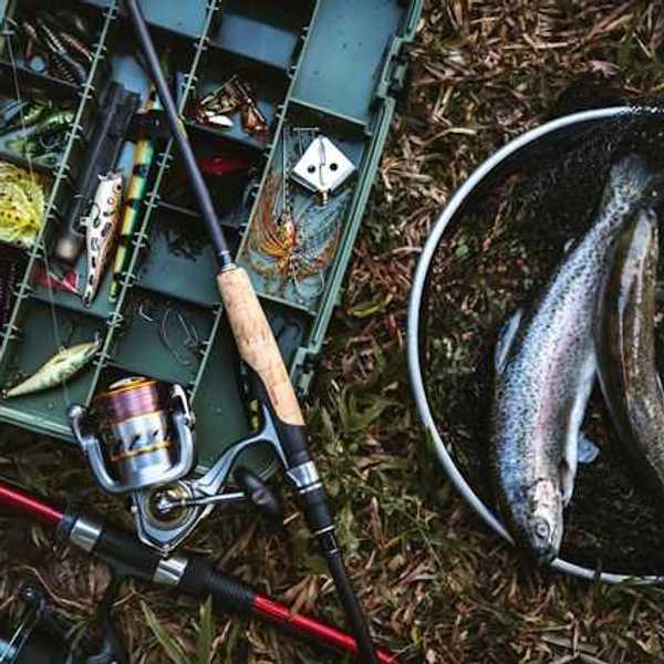 A view from above of a fishing tackle box next to two fish in a net