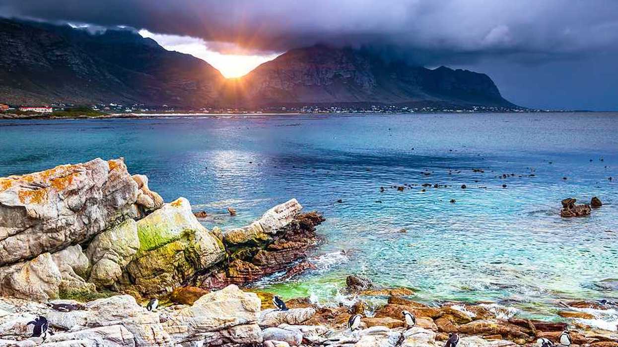 A view of a bay with rocky coastline and mountains in the background