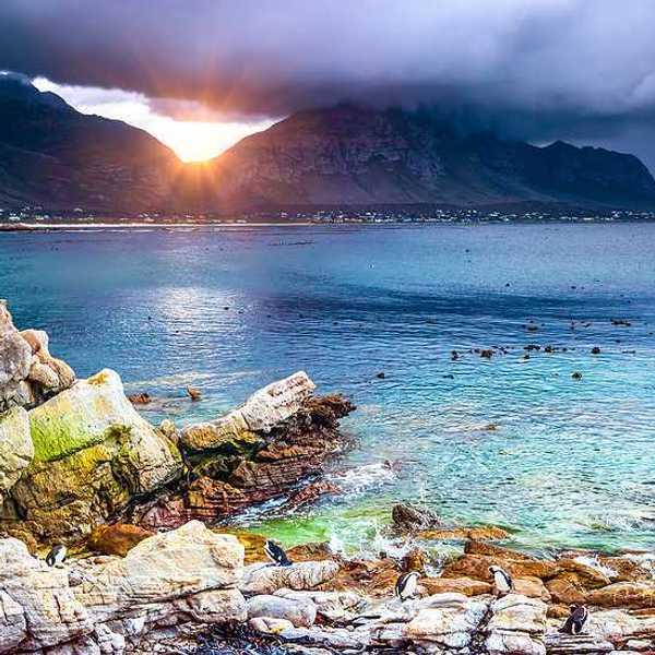 A view of a bay with rocky coastline and mountains in the background