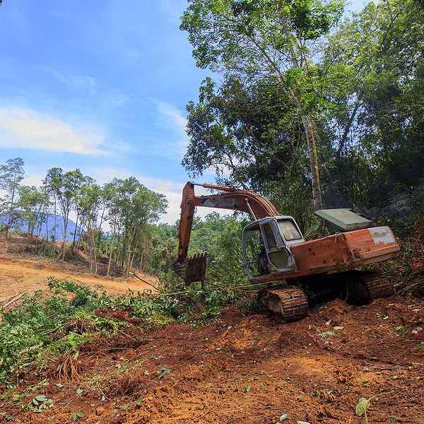 A view of a digger removing trees from a tropical forest