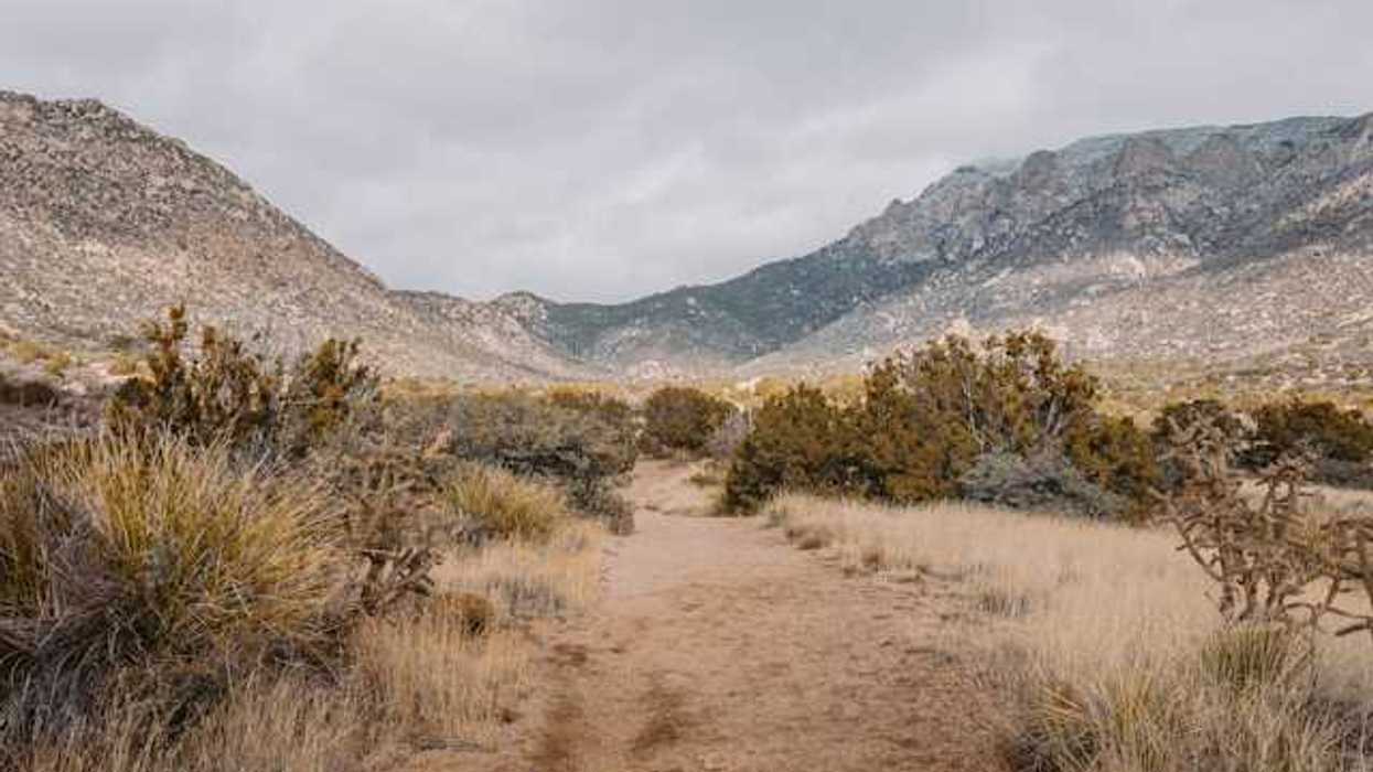 A view of a dirt path extending into a dry desert landscape with hills in the background
