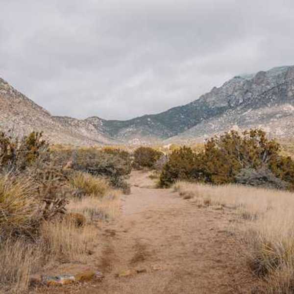 A view of a dirt path extending into a dry desert landscape with hills in the background