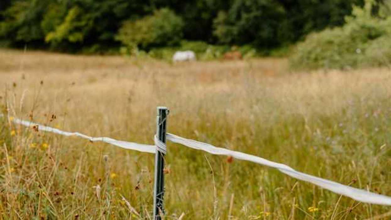 A view of a dry pasture with a twine fence in the foreground