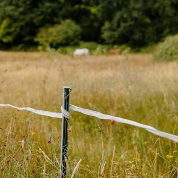 A view of a dry pasture with a twine fence in the foreground