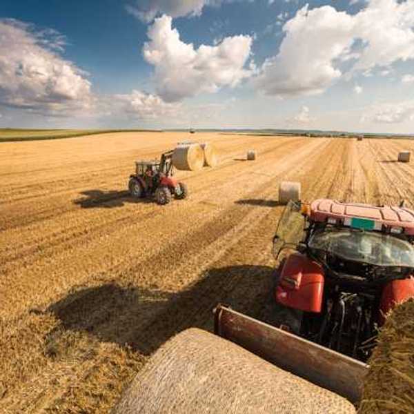 A view of a farm field being harvested by two farm tractors