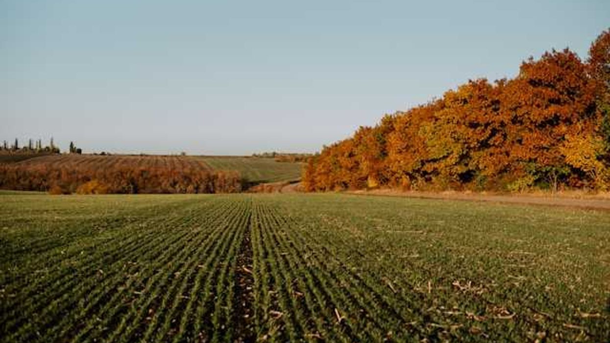 Land rush: Data center stampede puts farmers in crosshairs…