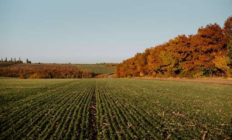 Land rush: Data center stampede puts farmers in crosshairs of controversy