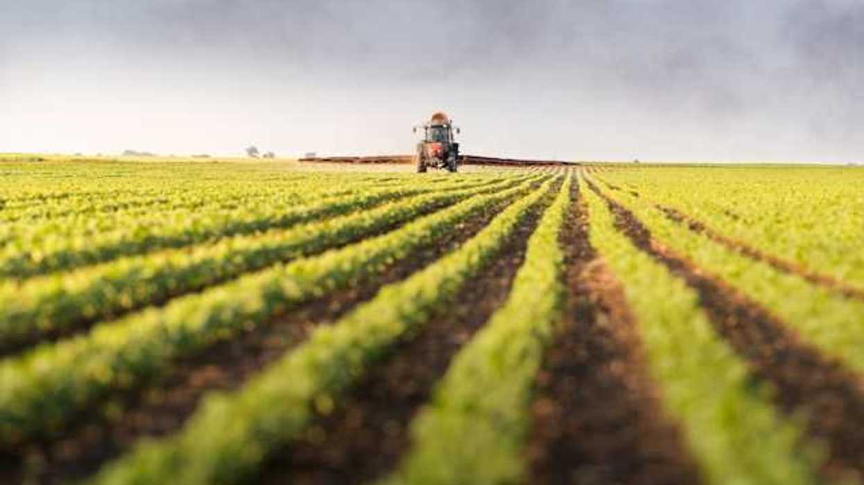 A view of a farm field with a tractor in the background