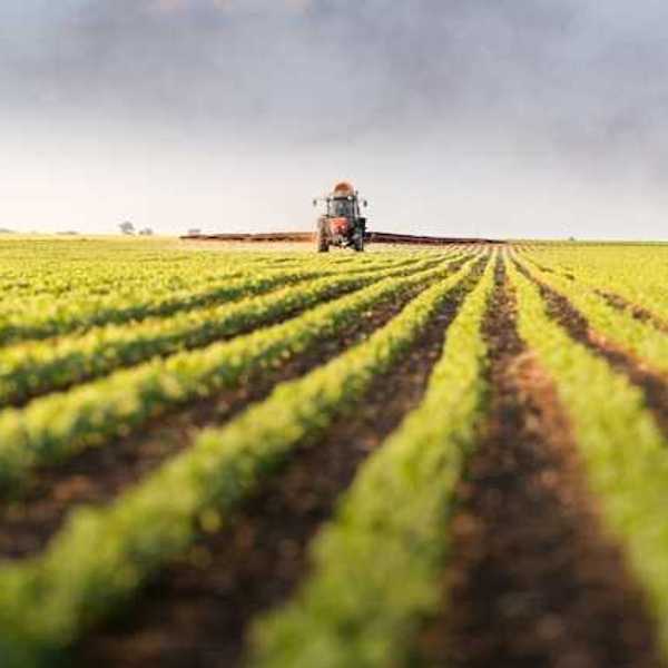 A view of a farm field with a tractor in the background