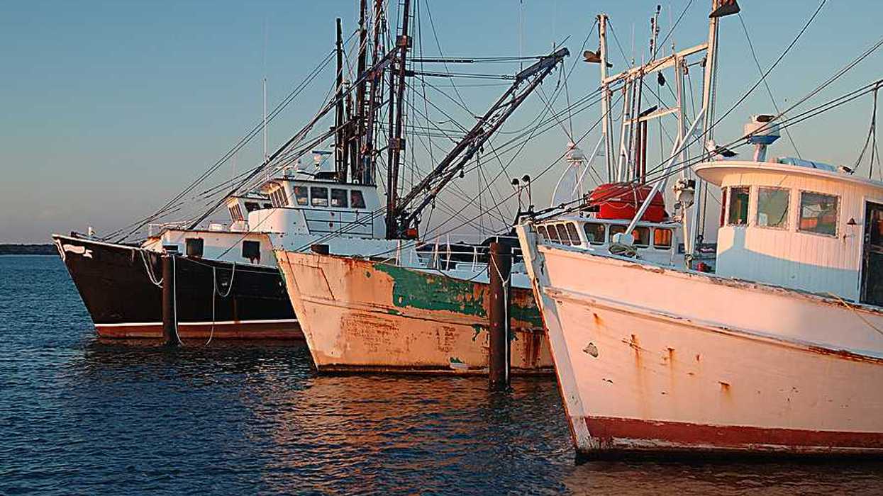 A view of a fleet of fishing boats at a dock