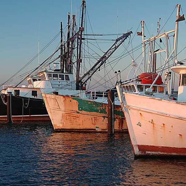 A view of a fleet of fishing boats at a dock