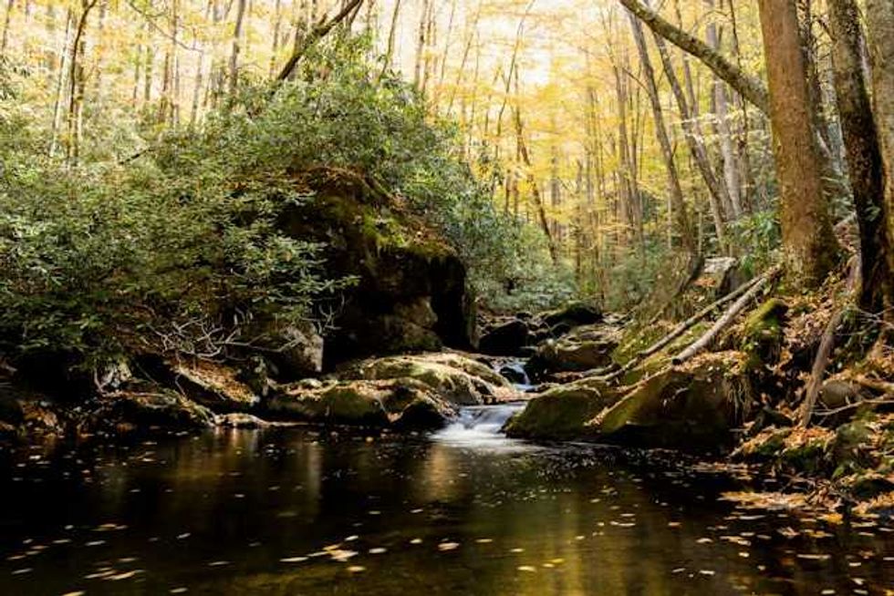 PFAS chemicals are in most Massachusetts rivers and waterways tested in new report