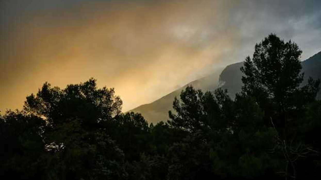 A view of a forest with smoke hovering above it