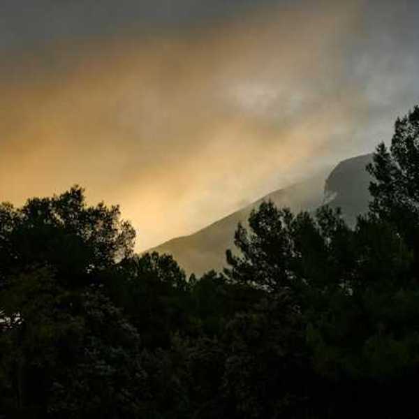 A view of a forest with smoke hovering above it