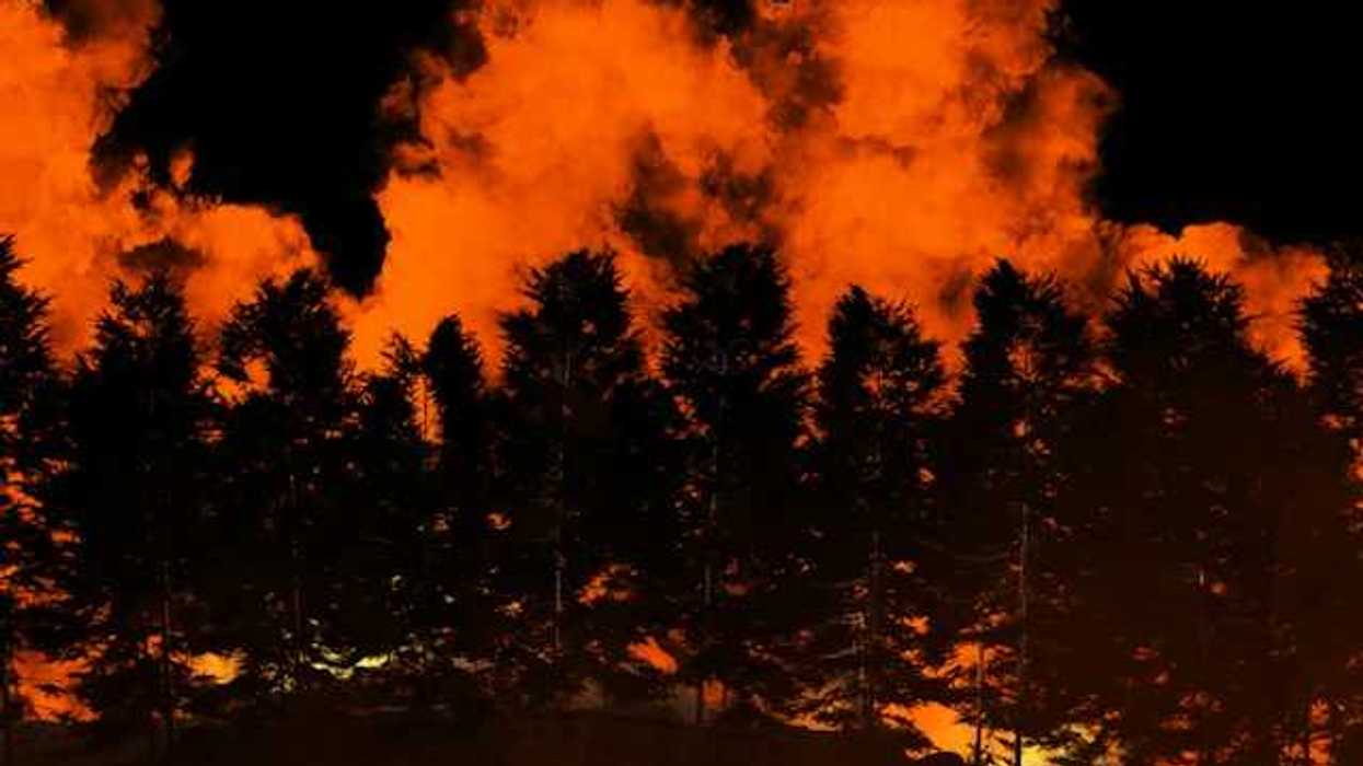 A view of a forested ridge with a wildfire burning in the background