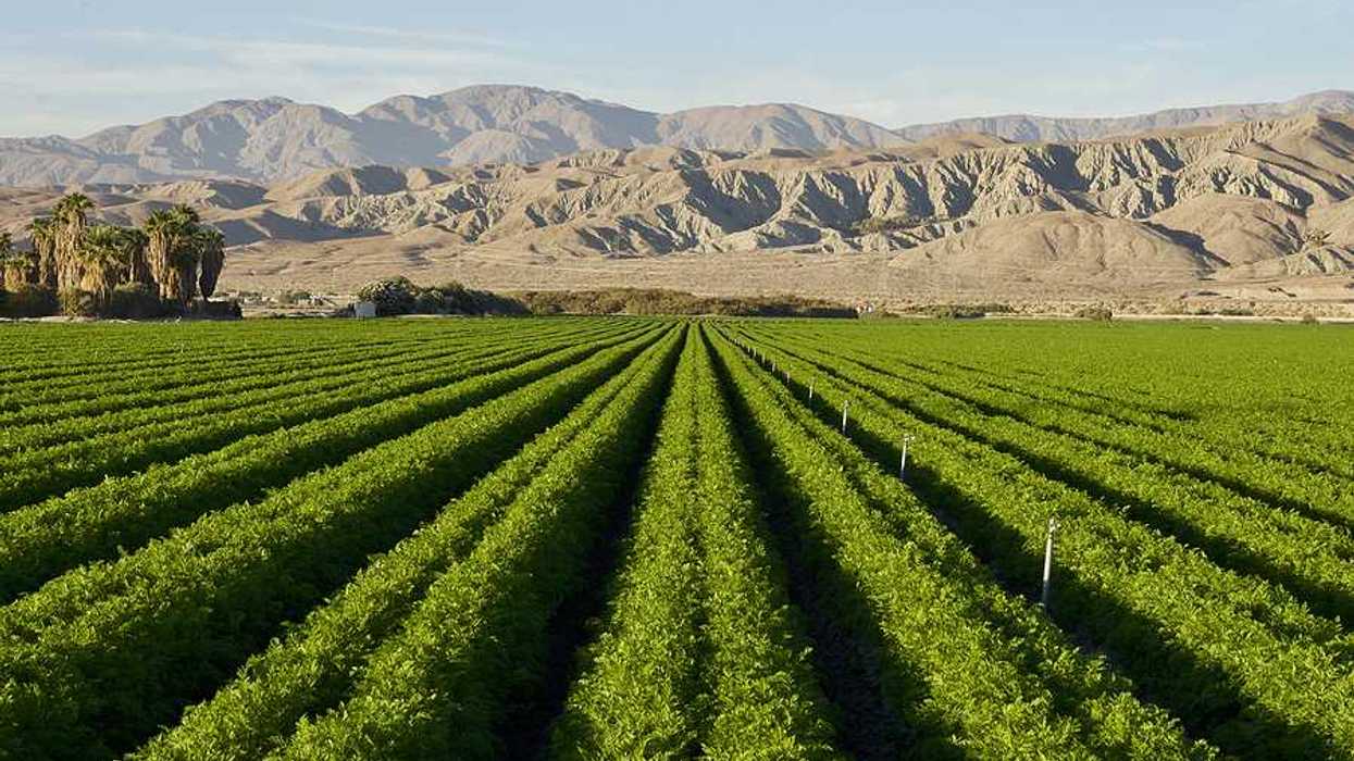 A view of a green field with desert mountains in the background