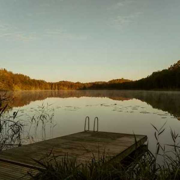 A view of a lake with a dock