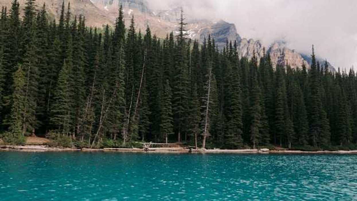 A view of a lake with tall trees and mountains in the background