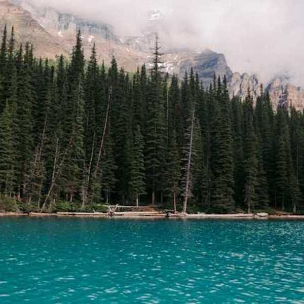 A view of a lake with tall trees and mountains in the background
