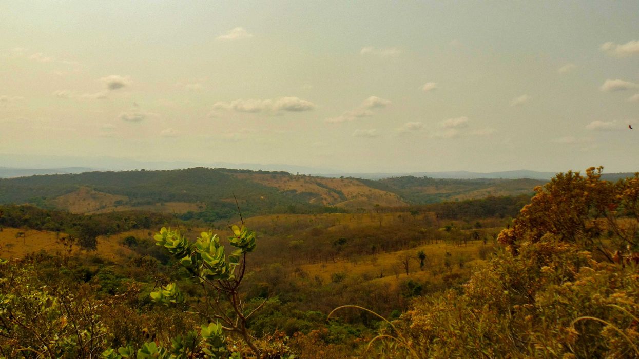 a view of a lush green valley surrounded by trees.