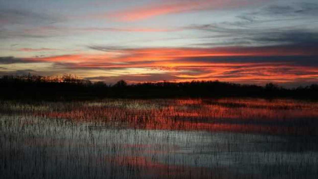 A view of a marsh with the sunset in the background