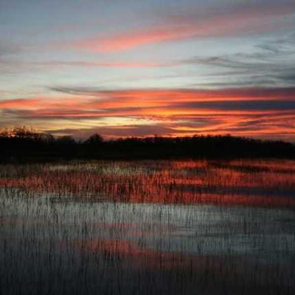 A view of a marsh with the sunset in the background