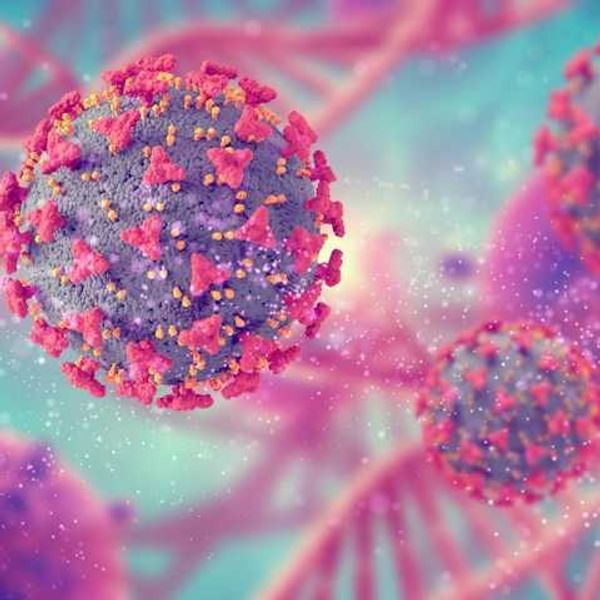 How microplastics may weaken the human immune system