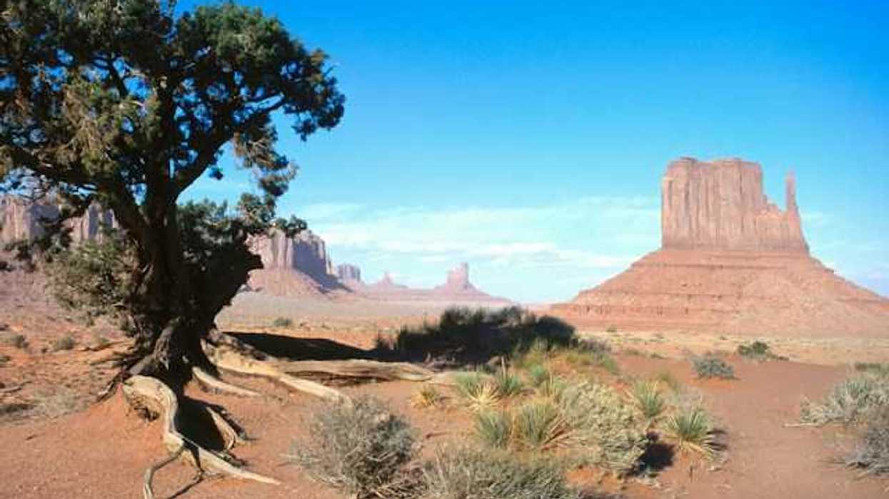 A view of a national park in Utah with red buttes and desert in the distance