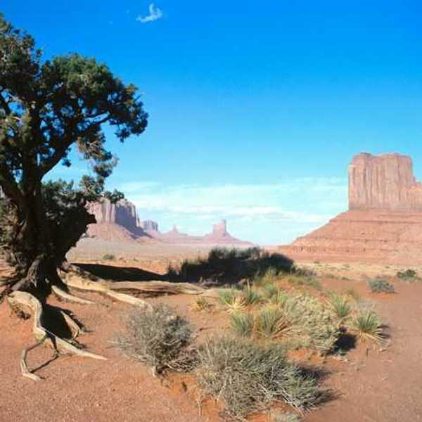 A view of a national park in Utah with red buttes and desert in the distance