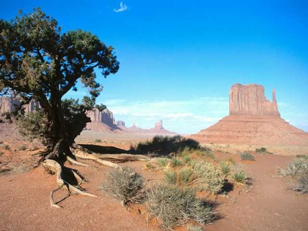 Trump is considering more data centers on public lands than previously known