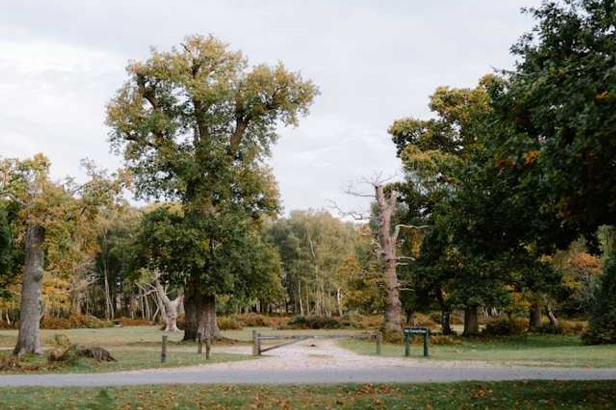 A former toxic waste site was transformed into a U.P.…