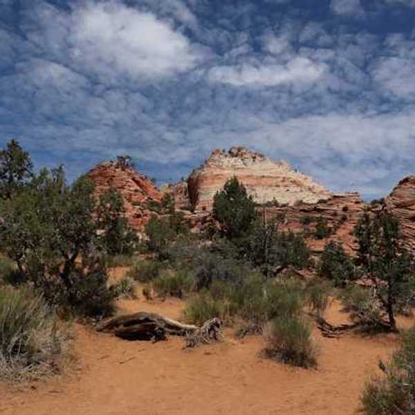A view of a red and tan mountain with brush and trees in the foreground