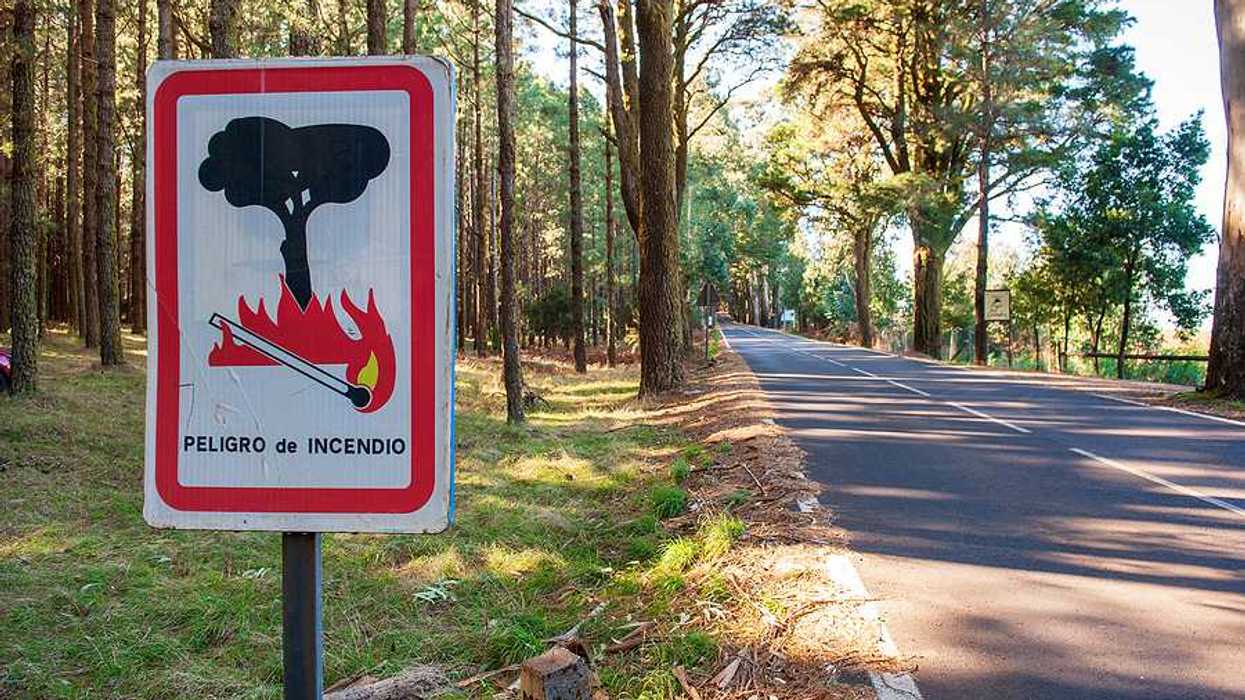 A view of a road through a forest with a sign in Spanish warning of wildfire danger