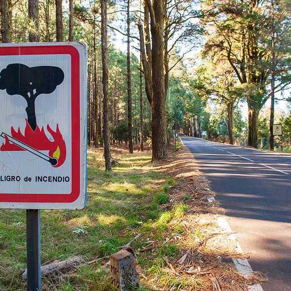 A view of a road through a forest with a sign in Spanish warning of wildfire danger