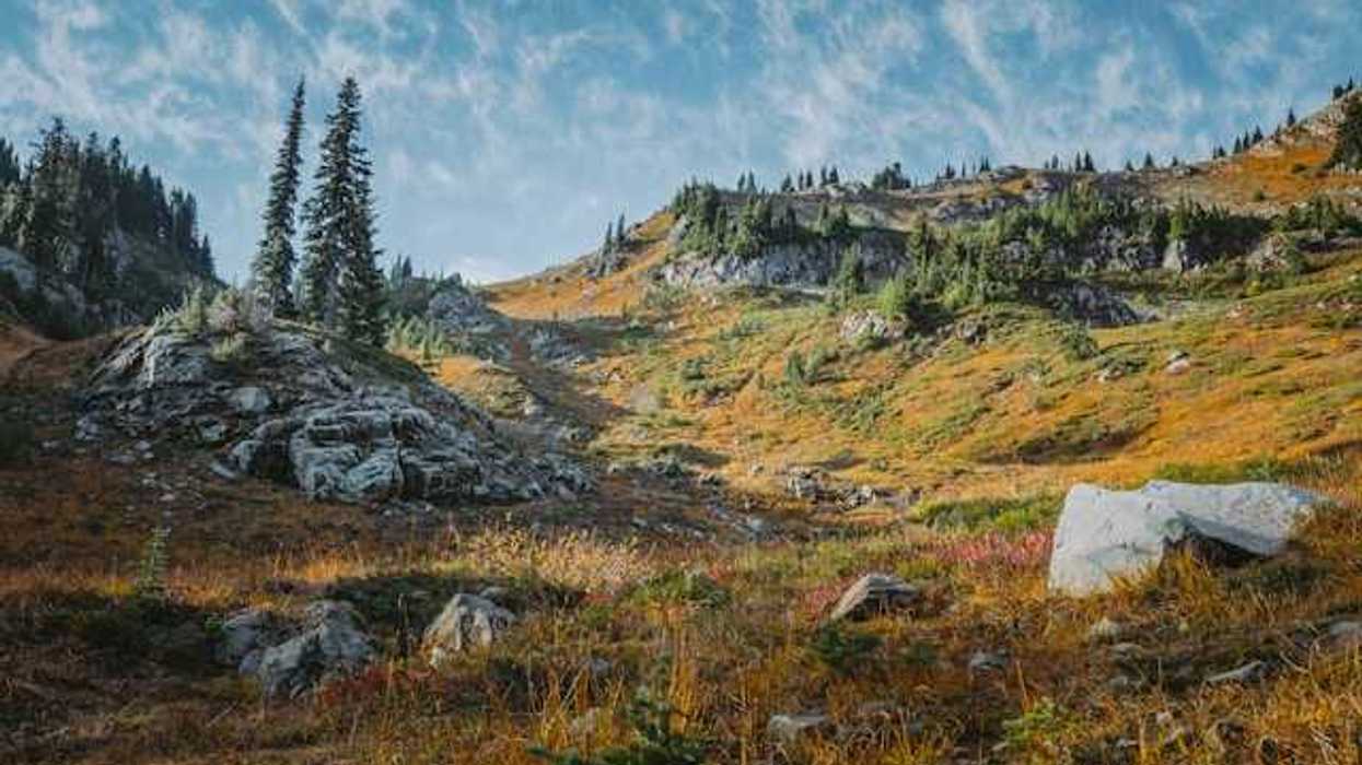 A view of a rocky wilderness with trees and boulders