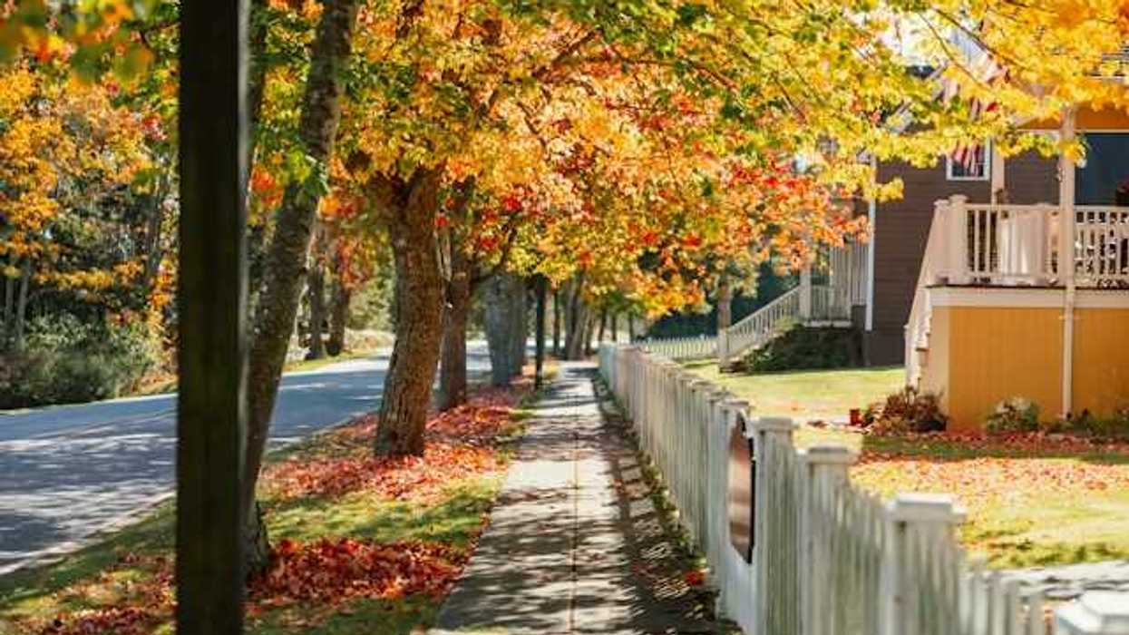 A view of a sidewalk in a neighborhood with trees lining the street