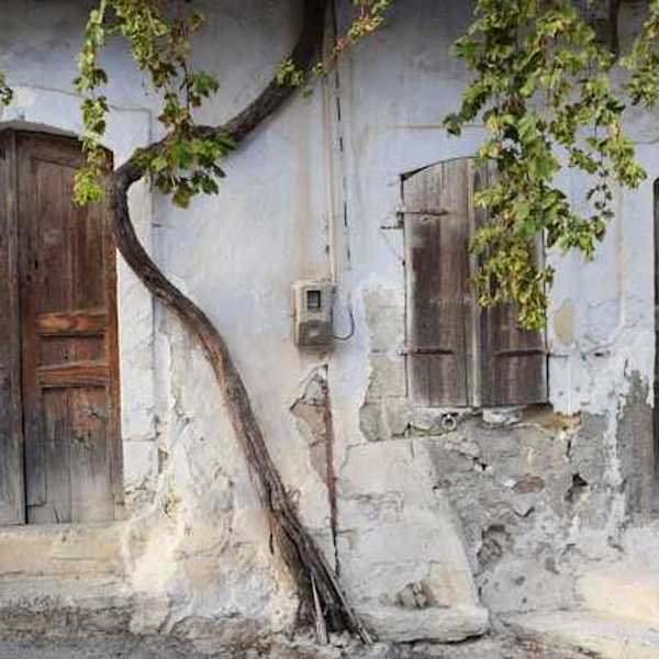 A view of a street with houses with cracked facades