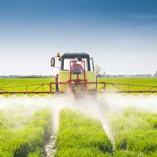 Haphazard pesticide enforcement puts farmworkers in California at risk