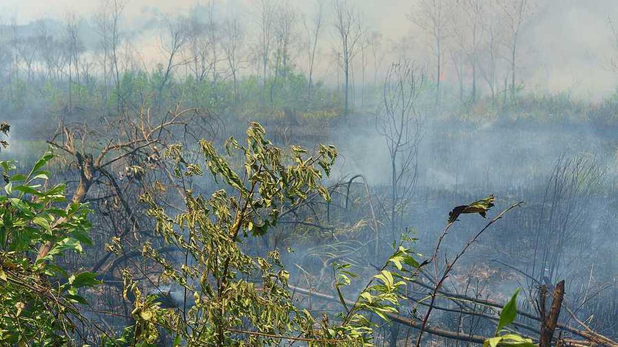 A view of a tropical field that is burning