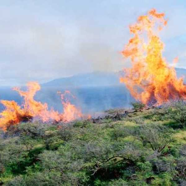 A view of a wildfire spreading across a green landscape
