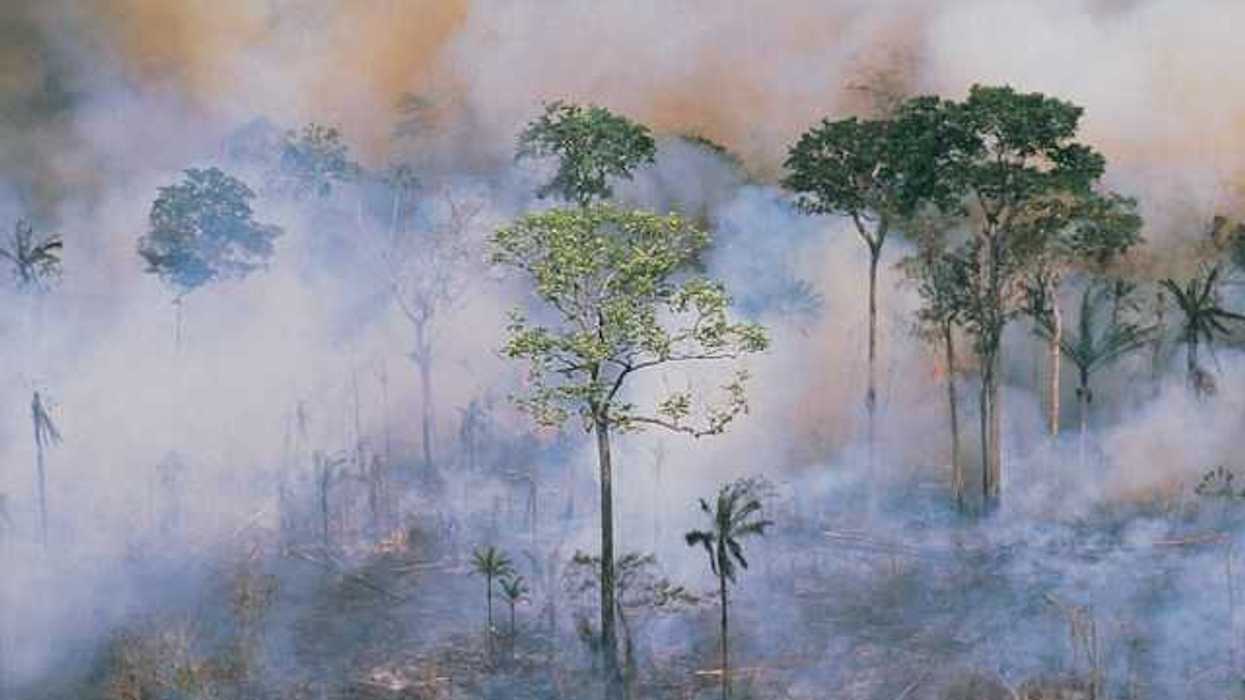 A view of Amazon forest with forest fire smoke floating between the trees