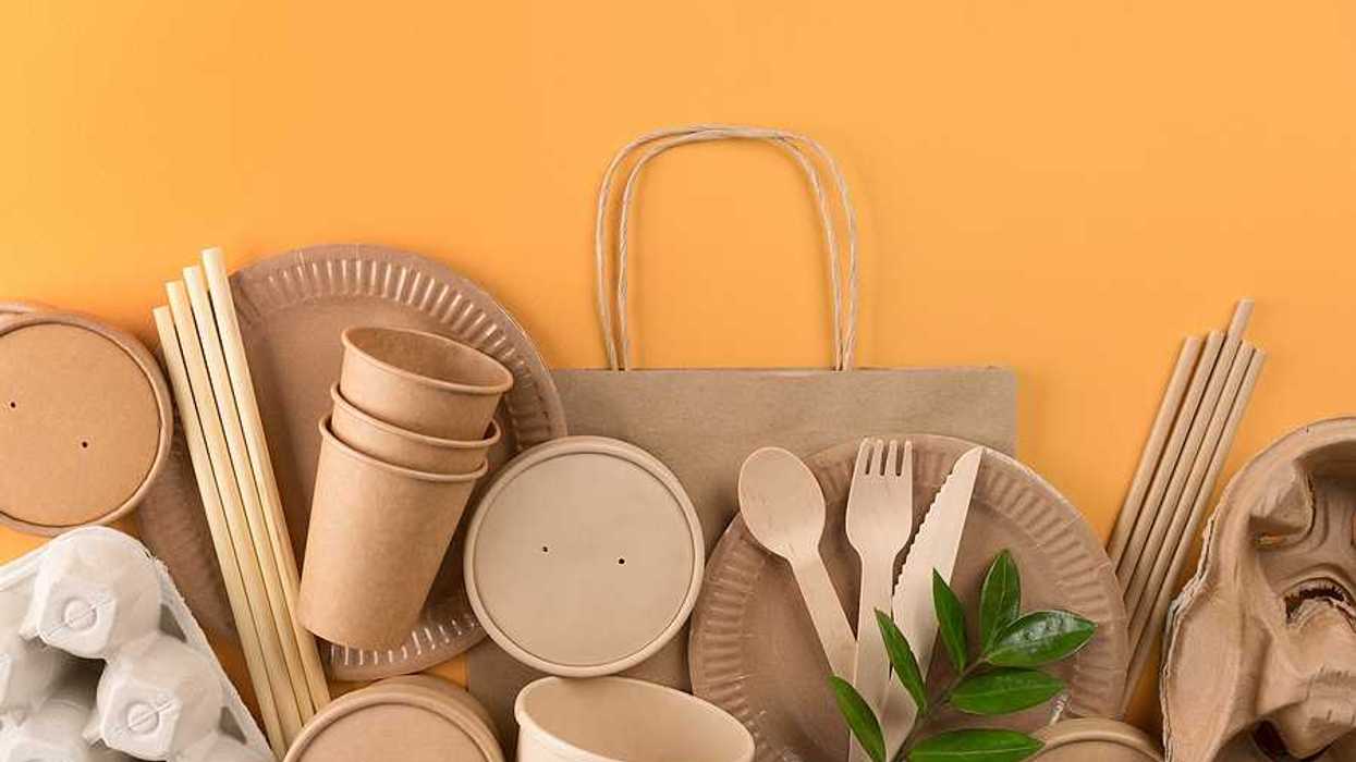 A view of cardboard and other sustainable food containers against an orange background