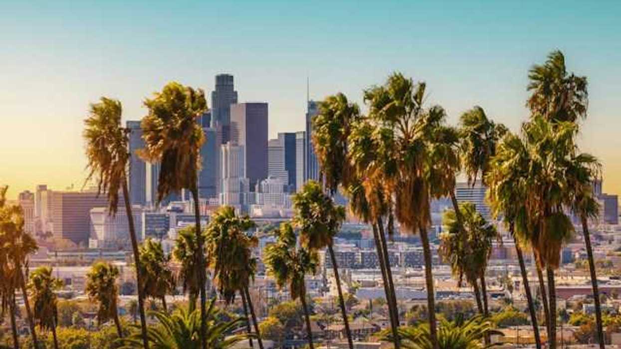 A view of downtown Los Angeles, California with palm trees in the forefront