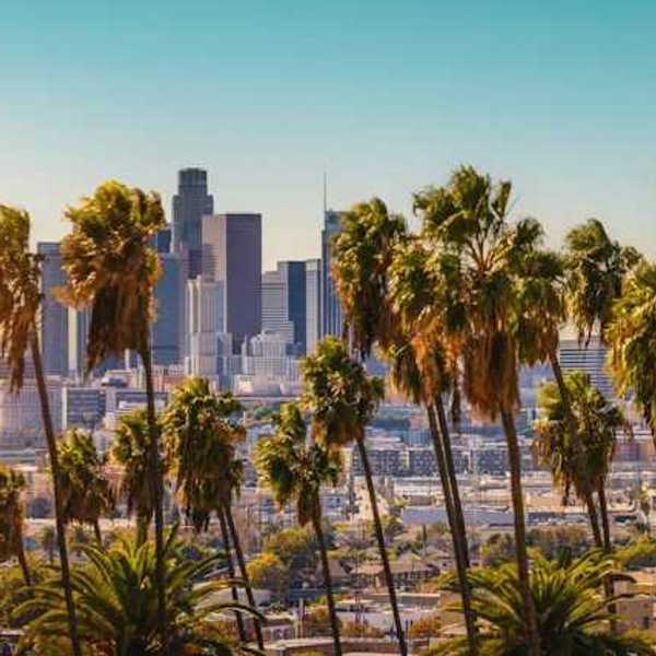 A view of downtown Los Angeles, California with palm trees in the forefront
