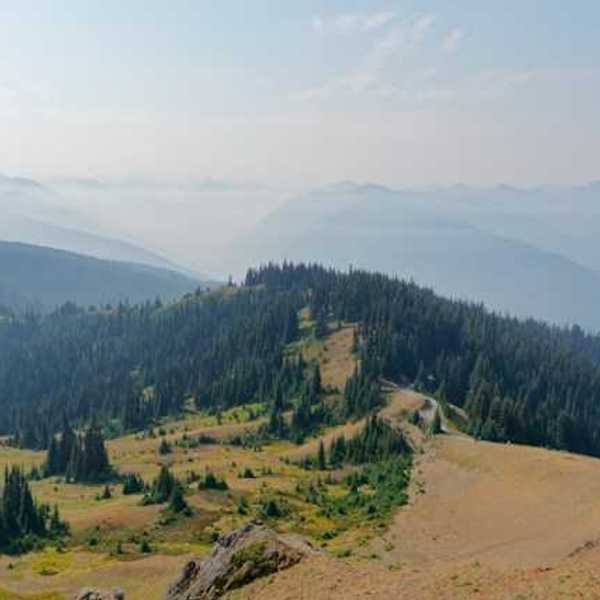 A view of forested mountains