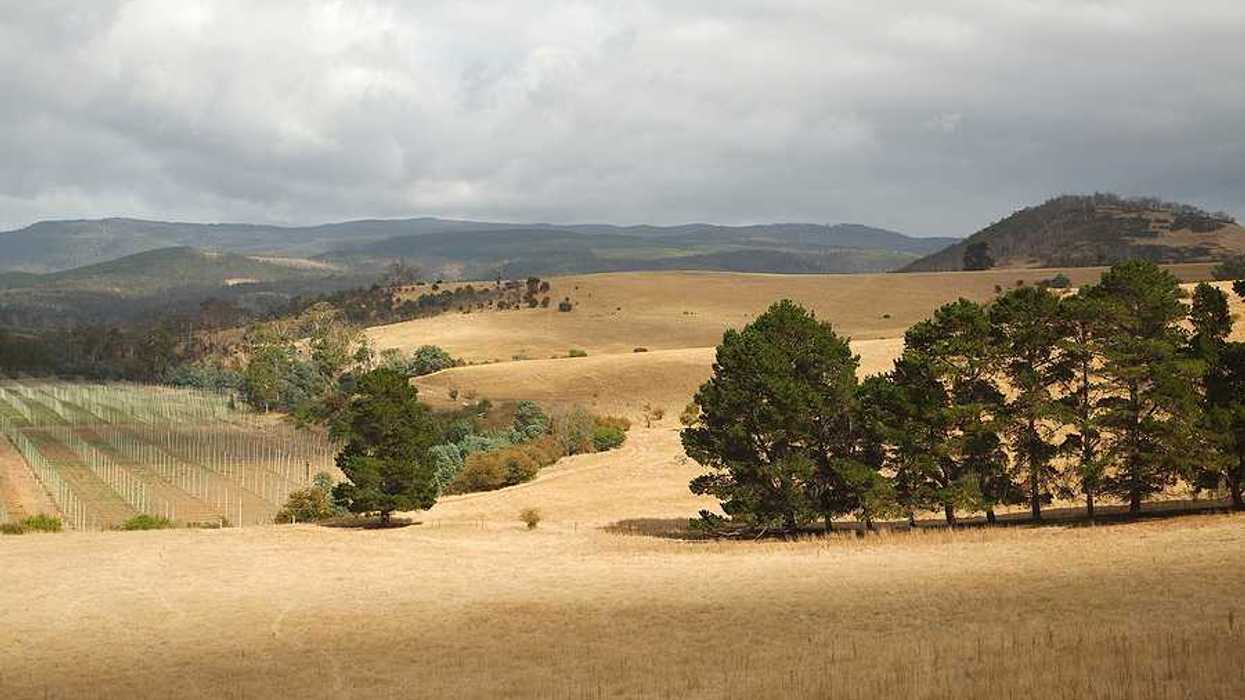 A view of forests and fields with clouds in the distance
