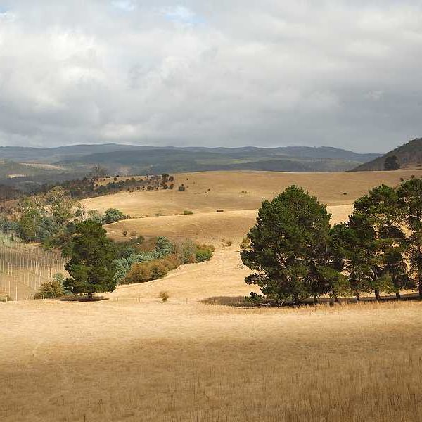 Fifth-generation Tasmanian farm at a standstill due to PFAS, sewage contamination