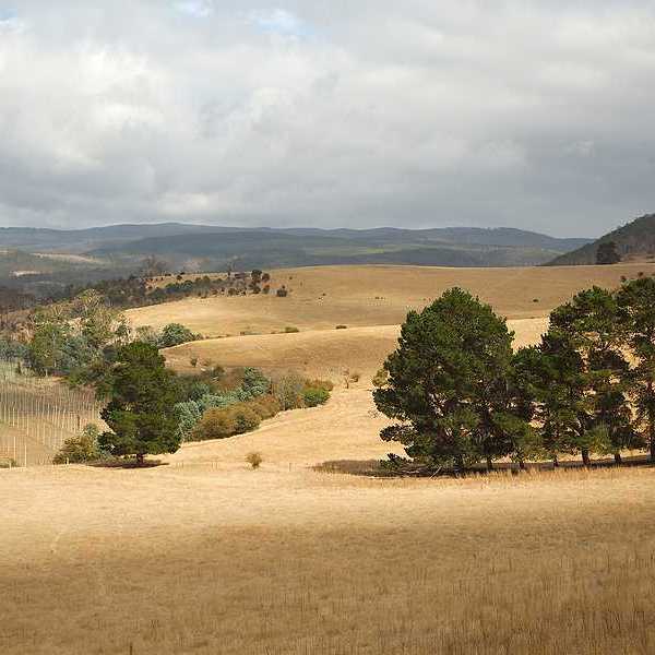 A view of forests and fields with clouds in the distance