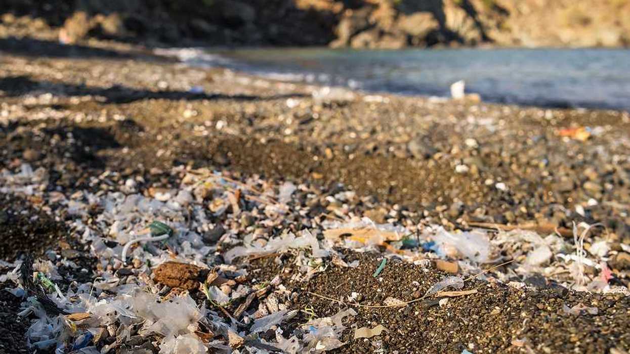 A view of plastic waste littered on a beach